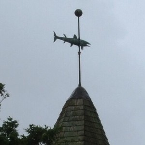 Holy_Flying_Fish.jpg